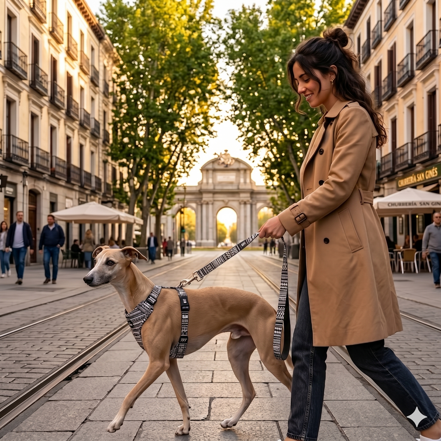 ARNES URBAN SOFT-MADRID