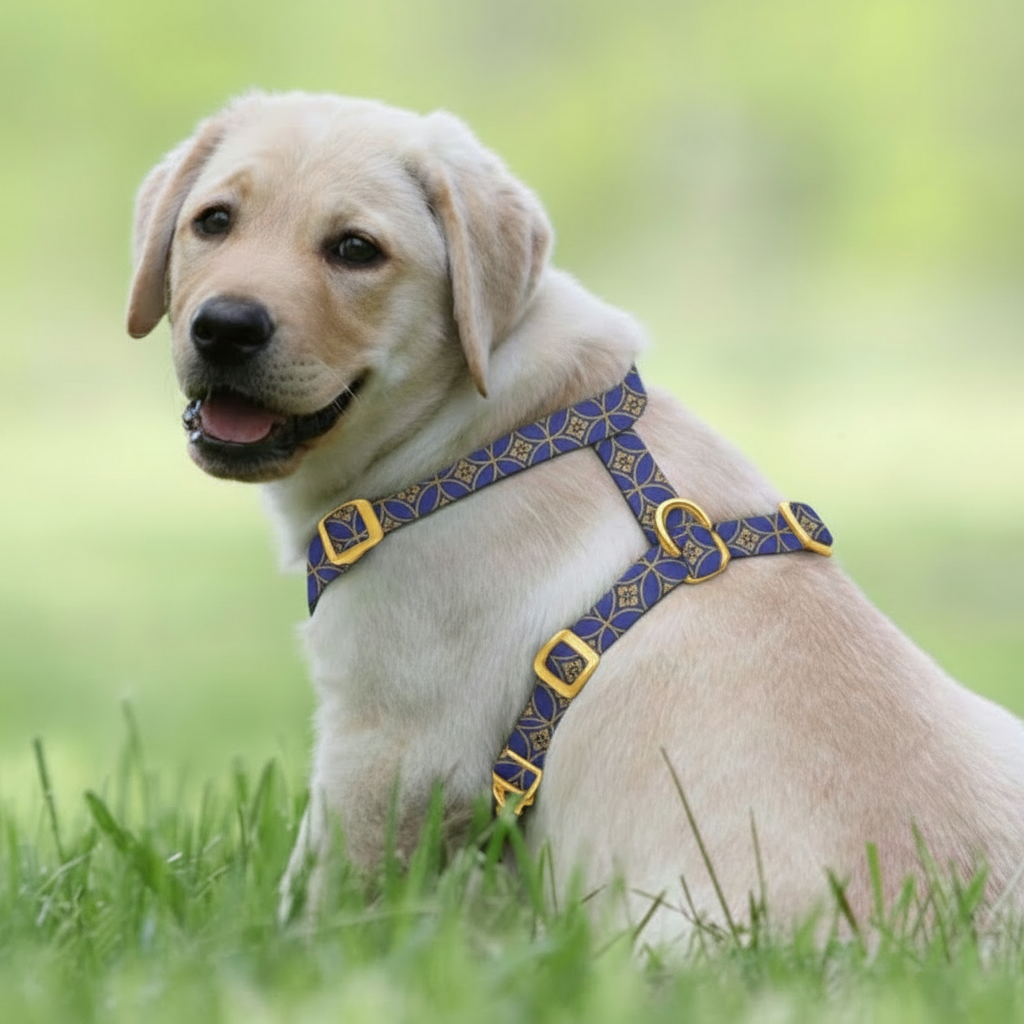 Labrador con Arnés Bali en el parque