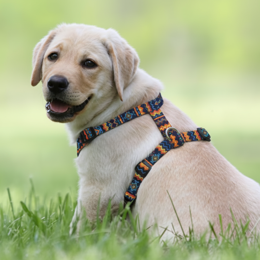 Labrador con arnés patrón México